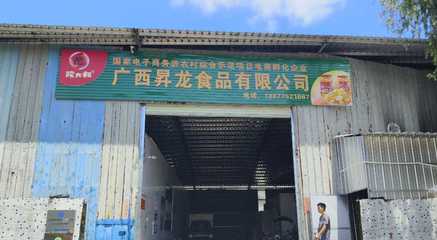 广西升龙食品:贴近&ldquo;三农&rdquo;,助农 增收--容县农特产品典型电商企业